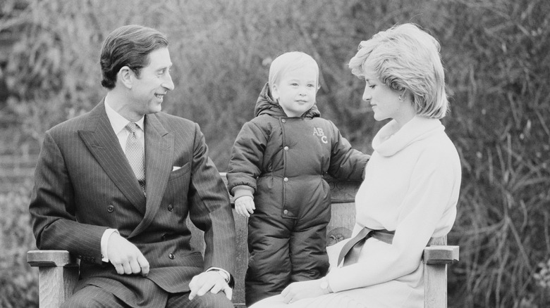 royals Prince Charles, Diana, and William