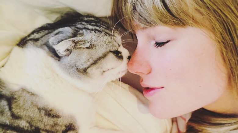 Meredith Grey Swift Taylor Swift selfie