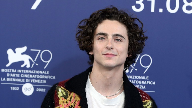 Timothée Chalamet in cardigan sweater