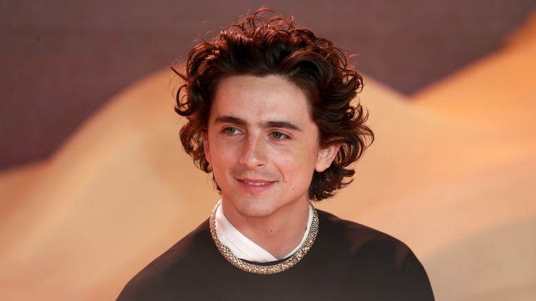 Timothee Chalamet wearing golden choker