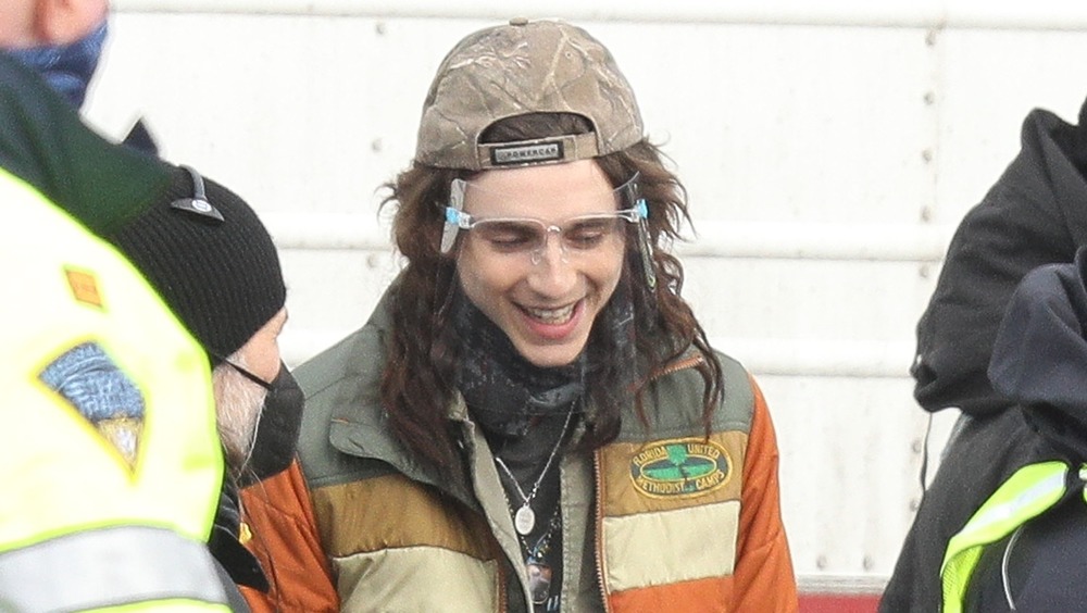 Timothée Chalamet with long extensions