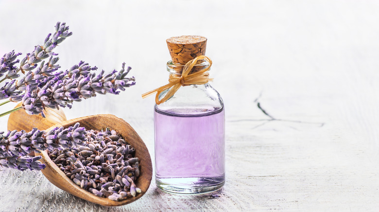 Lavender Essential Oil 