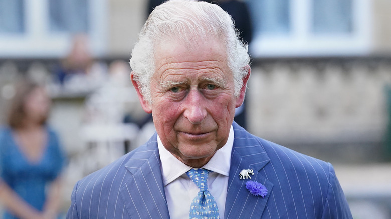 King Charles in blue pinstripe suit