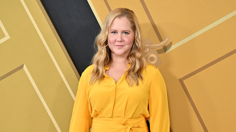 Amy Schumer on the red carpet