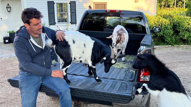 Jonathan Knight with goats