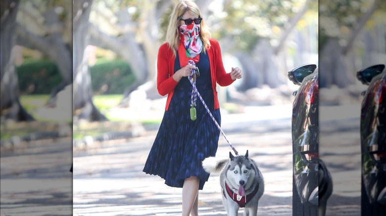 Laura Dern wearing face mask