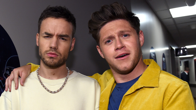 Liam Payne and Niall Horan posing together