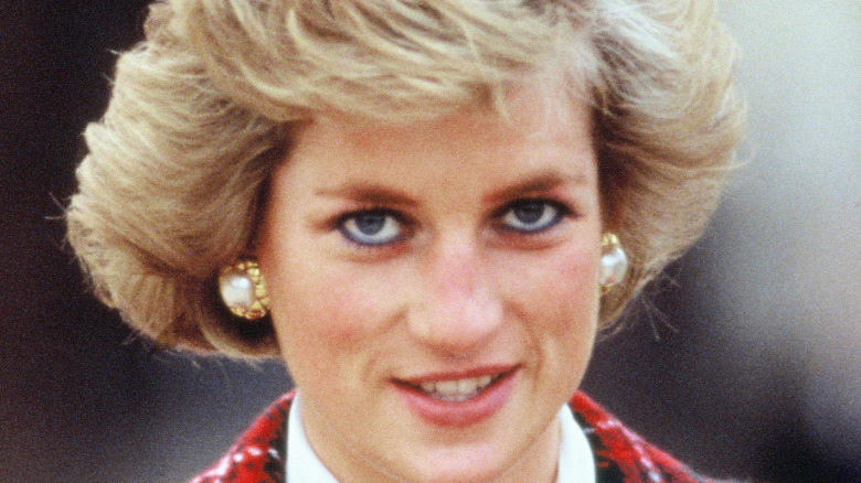 Tragic Details About Princess Dianas Death 