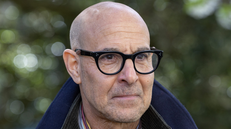 Stanley Tucci staring 