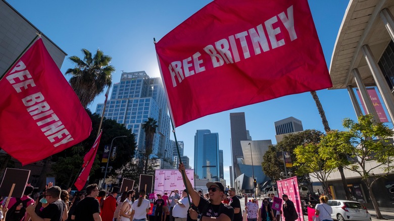 Fans attending a Free Britney rally