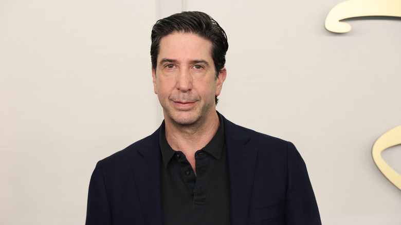 David Schwimmer poses at an event