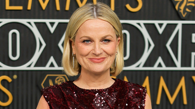 Amy Poehler in New York