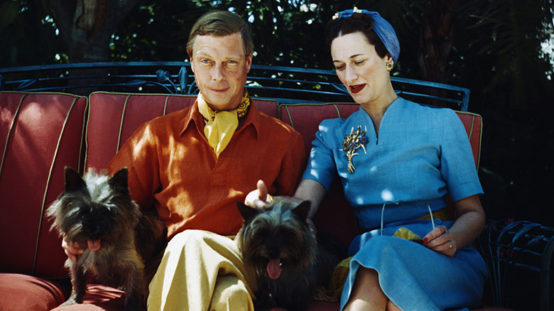 Duke and Duchess of Windsor with two dogs 