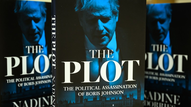 The cover of Nadine Dorries' book, "The Plot"