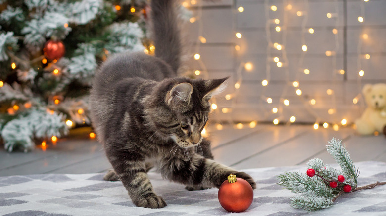 Cat playing with Christmas ornament