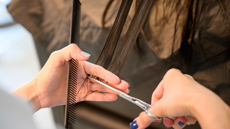 Stylist trimming hair