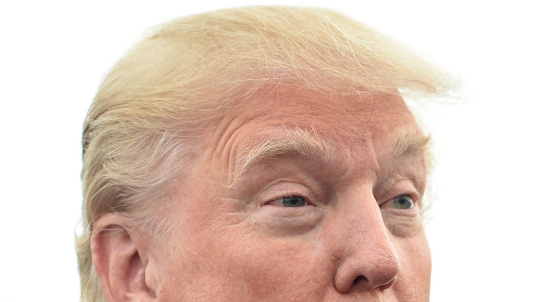 Detail of Donald Trump's hair