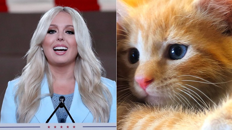 Tiffany Trump and her orange tabby rescue kitten