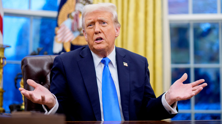 Donald Trump spreads his arms apart as he speaks at the Oval Office