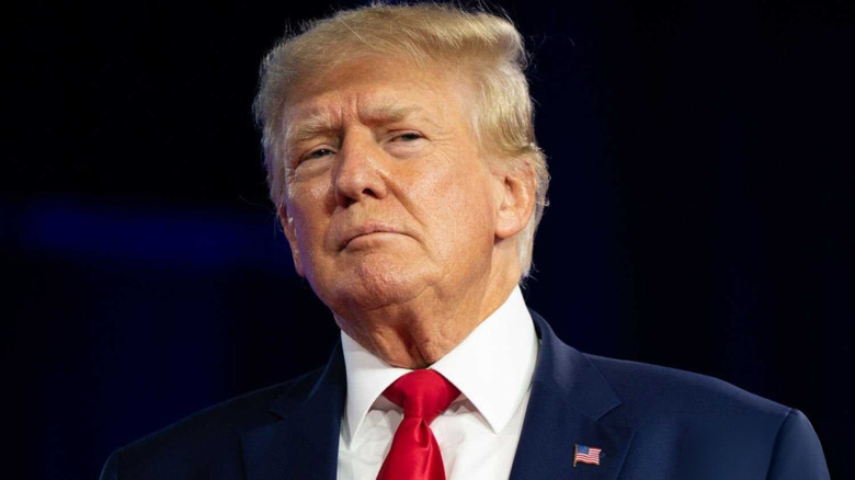 Donald J. Trump in a red tie, blue suit, and American flag lapel pin, chin raised and peering out past the camera.