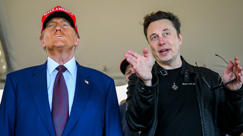 Donald Trump MAGA hat and Elon Musk gesturing