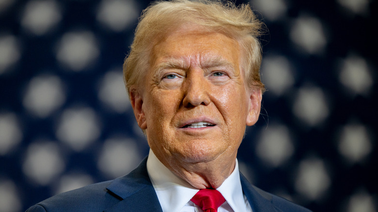 Donald Trump smiling against a fuzzy background