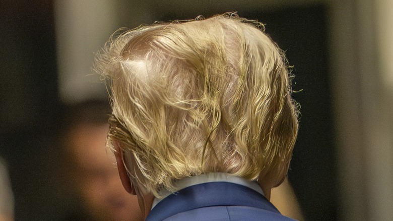 Back of Donald Trump's head