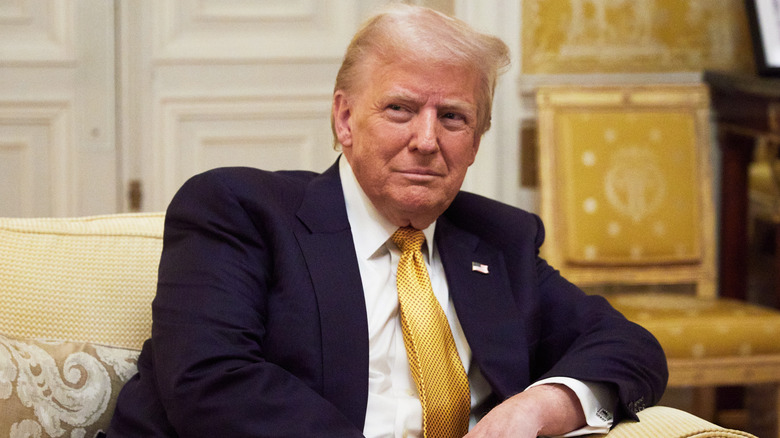 Donald Trump posing for photos on a sofa in a yellow tie