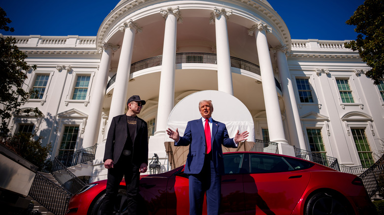 Donald Trump and Elon Musk in front of the White House standing next to Tesla vehicles