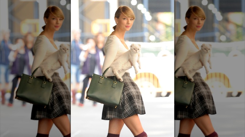 Taylor Swift holding a cat