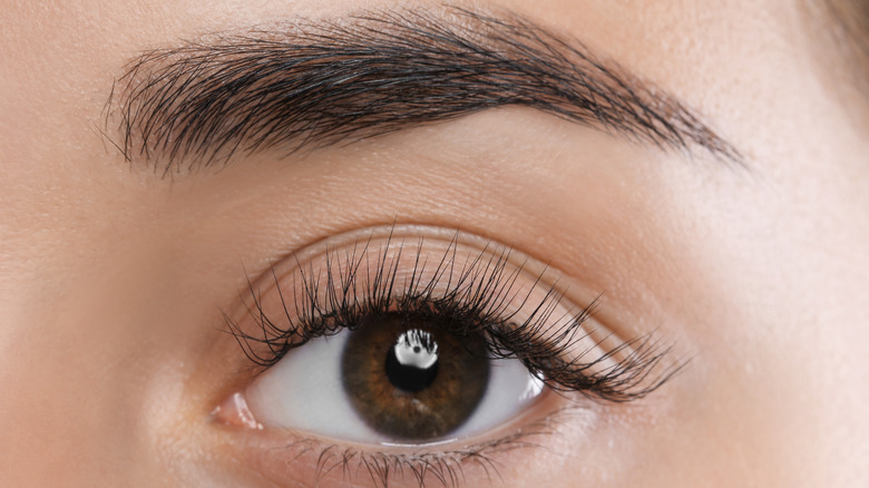 Woman with fluffy brows and curled eyelashes