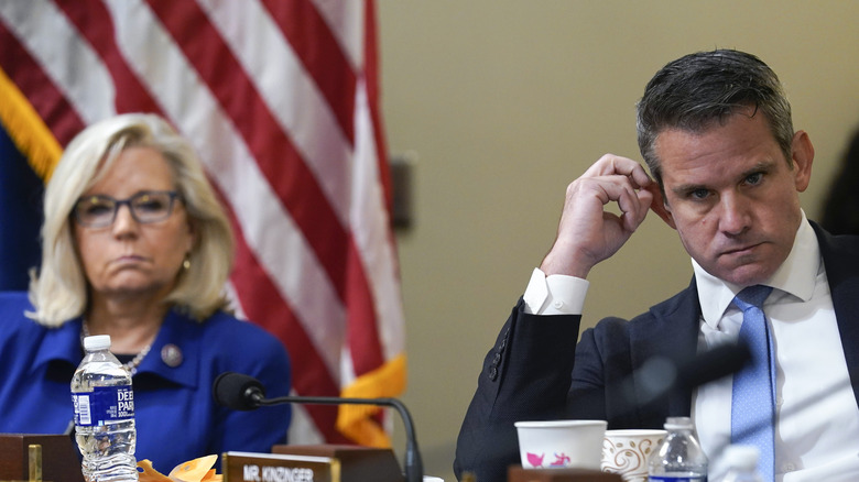 Liz Cheney and Adam Kinzinger listening