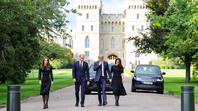 William and Harry with their wives 