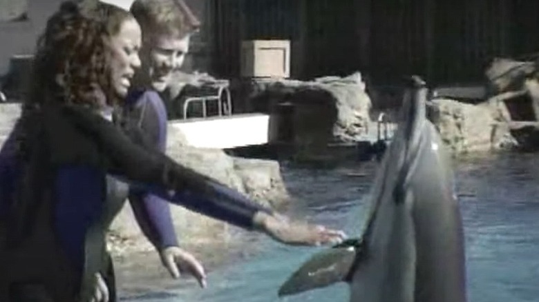 Tyra Banks touching dolphin