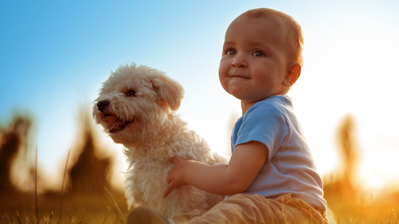 Baby smiling with dog