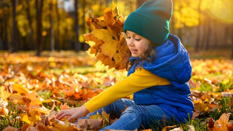 Toddler playing in autumn leaves