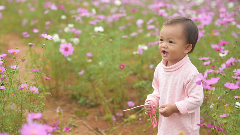 Baby walking in a meadow