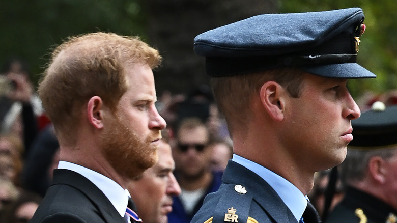 Prince Harry and Prince William at the queen's funeral