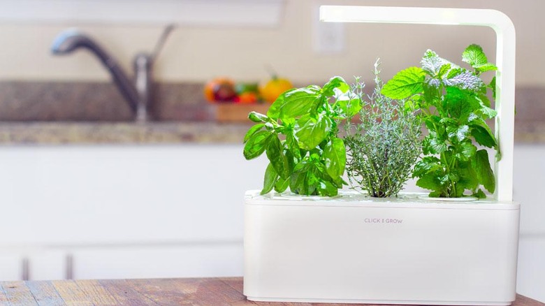 Indoor garden kit