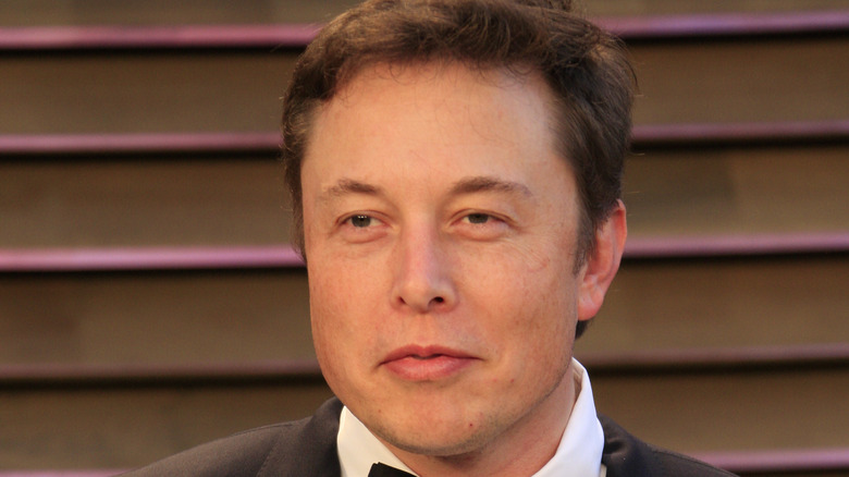 Elon Musk posing 