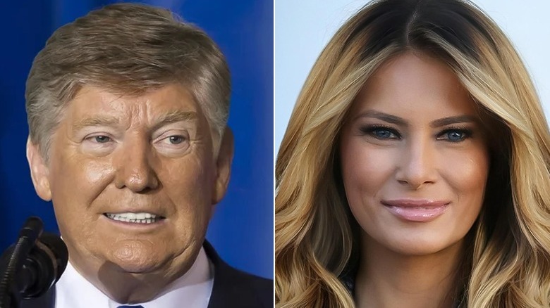 Melania Trump/Donald Trump Photoshop hair edits