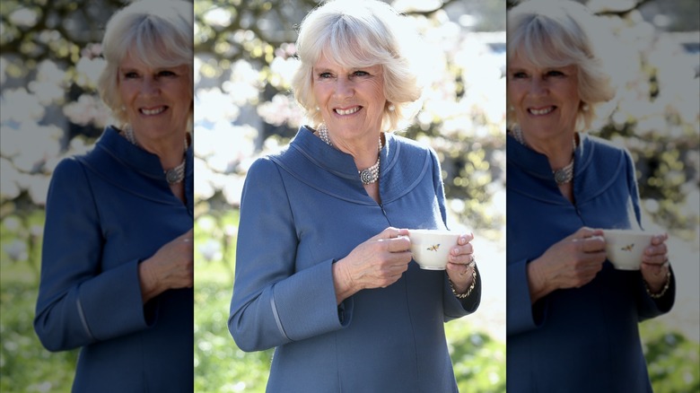 Queen Camilla having tea in blue dress at Clarence House garden