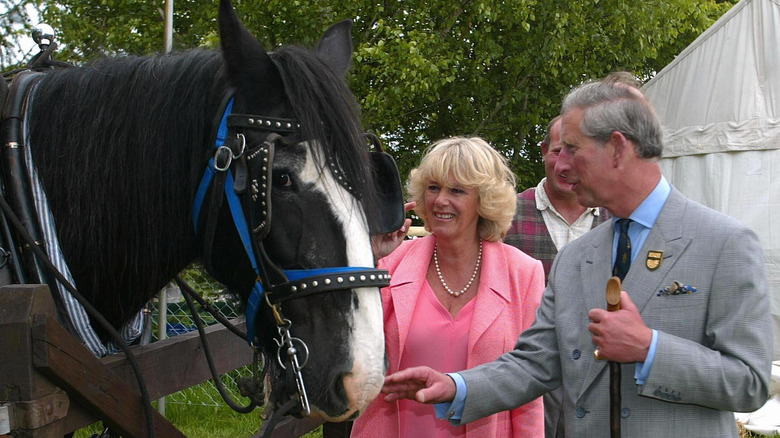 Camilla and Charles petting a horse (2005)