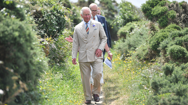 King Charles walking