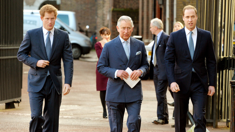 Prince Harry, King Charles, and Prince William