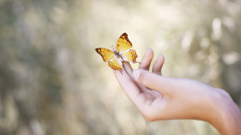 Woman holding butterfly in hand