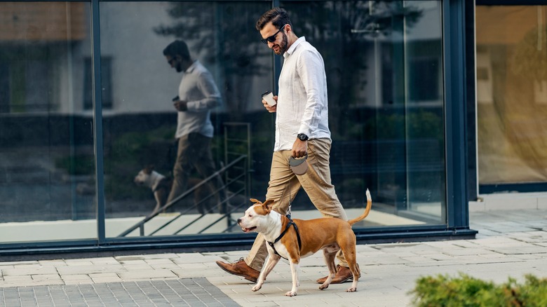 Man walking with his dog