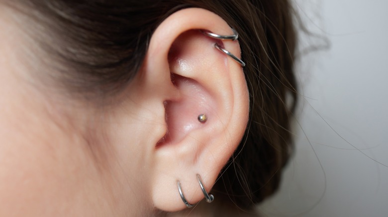 Trending Multiple Cartilage Ear Piercing Ideas – Star Earring Studs Hoop  Ring – www.Impuria.com | Earings piercings, Cartilage earrings stud, Ear  piercings