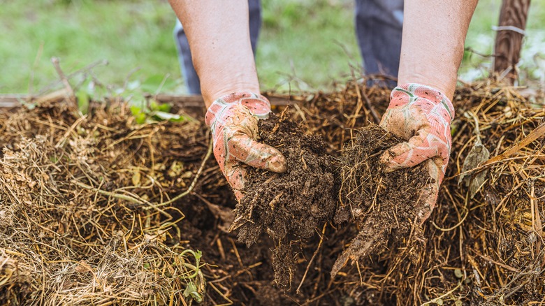 Composting in a garden