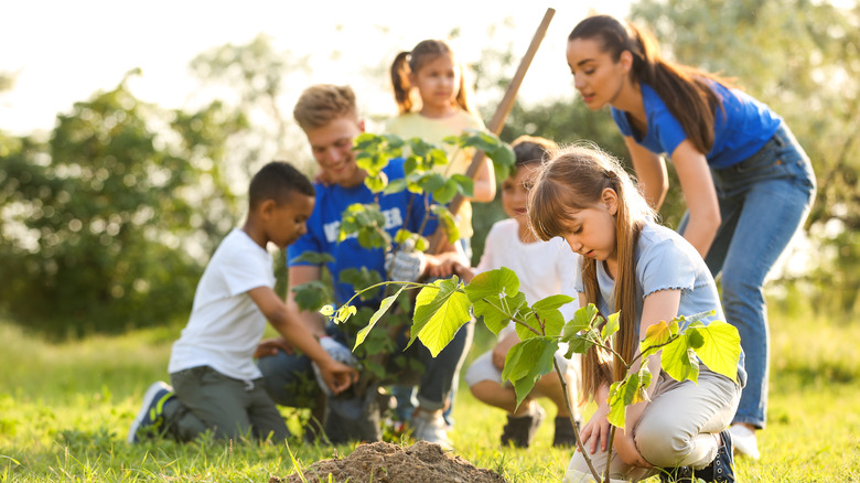 People working in a community garden